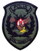 Şırnakta çıkan çatışmada 5 Özel Harekat Polisi şehit