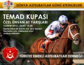 TEMAD KUPASI ÖZEL ÜNVAN AT YARIŞLARI