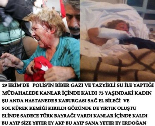2013 Nevruz Kutlamaları ve 2012 Yılı Cumhuriyet Bayramı