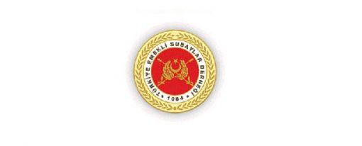 TEMAD LOGOSU