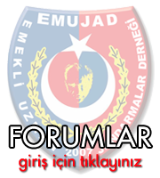 TEMAD LOGOSU