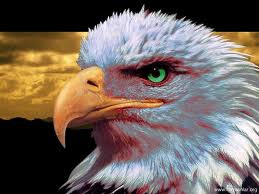 BİR KARTAL HİKAYESİ