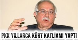 PKK, bölgede yıllarca Kürt katliamı yaptı
