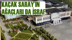 KaçAk Saray'a 280 TIR ithal ağaç