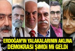 Erdoğan’ın yalakalarının aklına demokrasi şimdi mi geldi