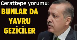 Erdoğan Artvin Cerattepe Maden Eylemi için: "Bu Geziciler neyse bunlar da yavru Gezicilerdir, bunu böyle bilin."
