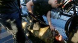 Köprüde öldürülen Harbiyelinin ailesi isyan etti
