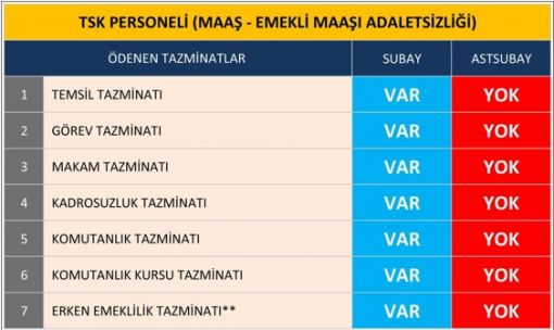 TSK'nın iki asli unsuru: Subaylar/Assubaylar