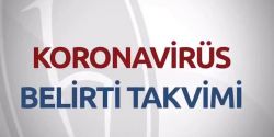 Hacettepe Üniversitesi'nin Hazırlamış Olduğu Koronavirüs Belirti Takvimi