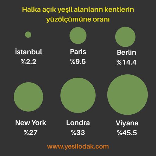 İLGİSİZ BİLGİLİLER, BİLGİSİZ İLGİLİLER…