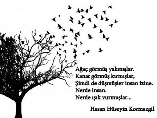 İLGİSİZ BİLGİLİLER, BİLGİSİZ İLGİLİLER…