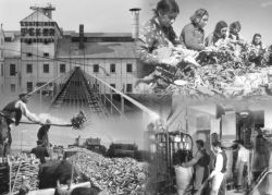 Şeker Fabrikaları Değerinin Çok Altında Üç Kuruşa Satıldı