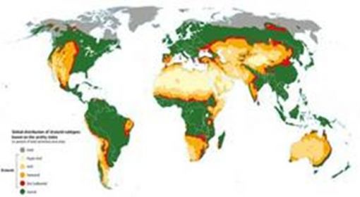 SHARInG-MeD Projesi Kapsamında Akdeniz Kurak Alanlarında Toprak Sağlığı ve Tarımsal Dayanıklılığı